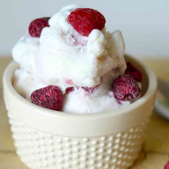 GF Raspberry Vanilla Ice Cream