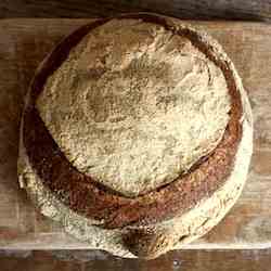 100% whole hard red winter wheat sourdough