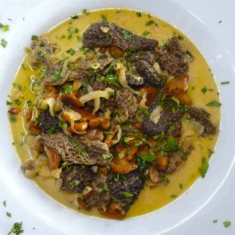 Wild mushroom ragout