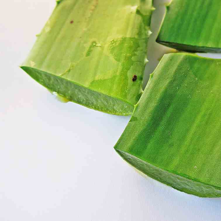 Wonderful benefits of aloe vera
