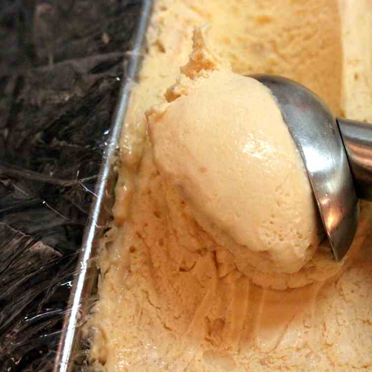 Dulce de Leche Ice-Cream