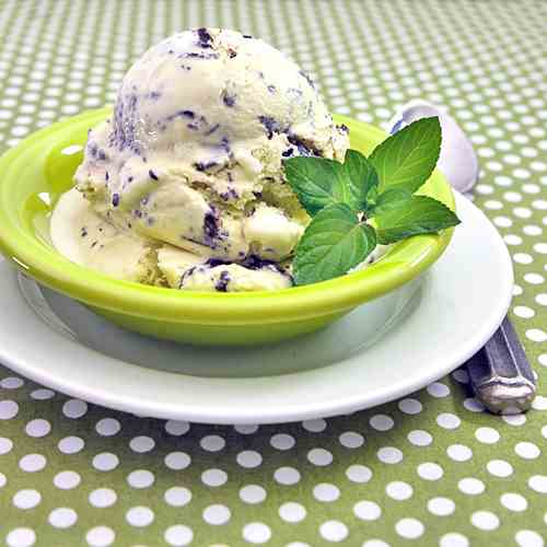 Fresh Mint Chocolate Chip Ice Cream