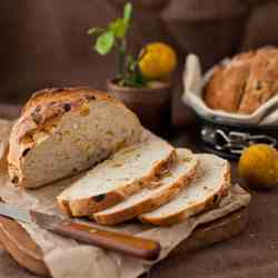 Dry Apricot-Hazelnut Bread