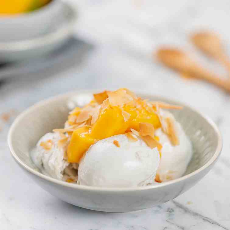 Coconut - Vanilla Ice Cream