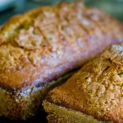 Friendship bread