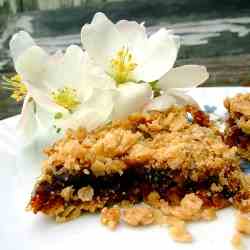 Date Squares with Lime and Cinnamon