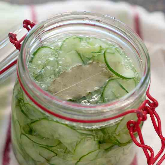 Quick Pickled Cucumbers