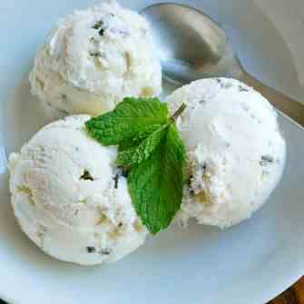 Mint Chocolate Chip Ice Cream