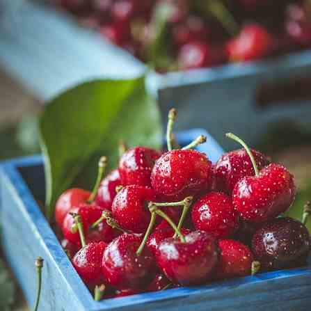 Healthy Fruits During Summer