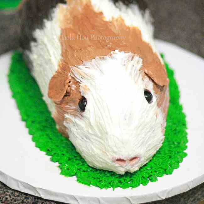 Guinea Pig Cake Tutorial