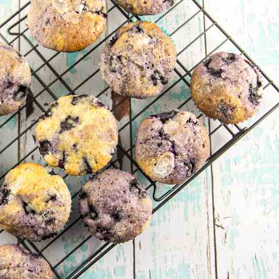 Blueberry Muffins (20)