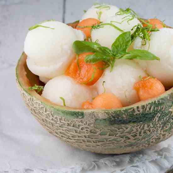 Melon sorbet
