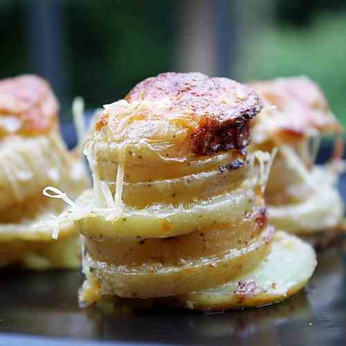 Muffin Pan Potato Gratins