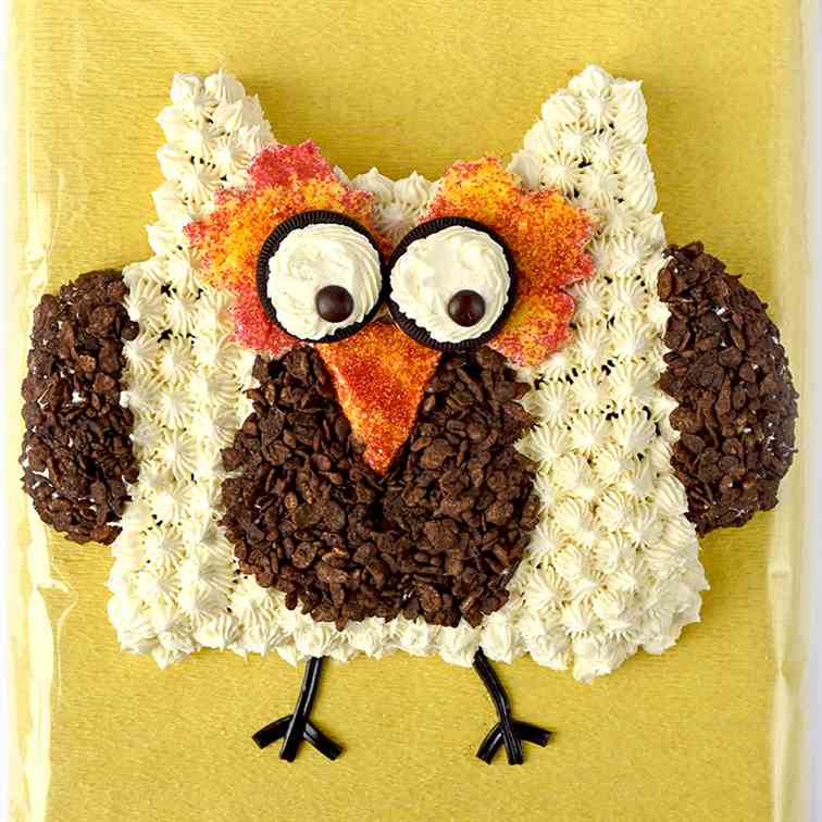 Owl Cut-Up Cake