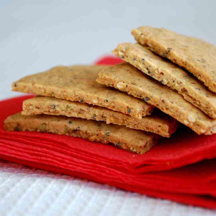 Speedy seedy crackers