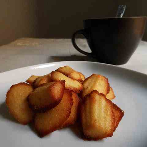 Yogurt madeleine