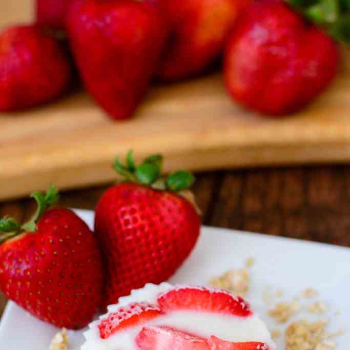 Frozen Fruit and Yogurt Bites