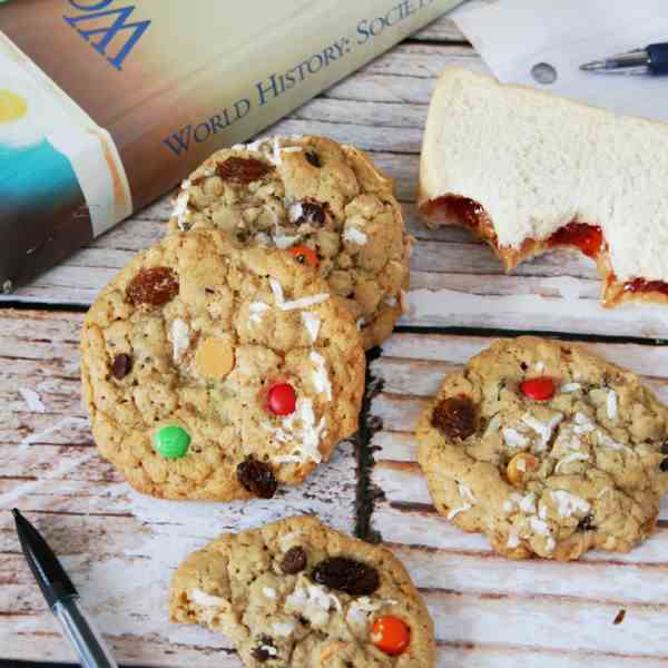 Kitchen Sink Oatmeal Cookies