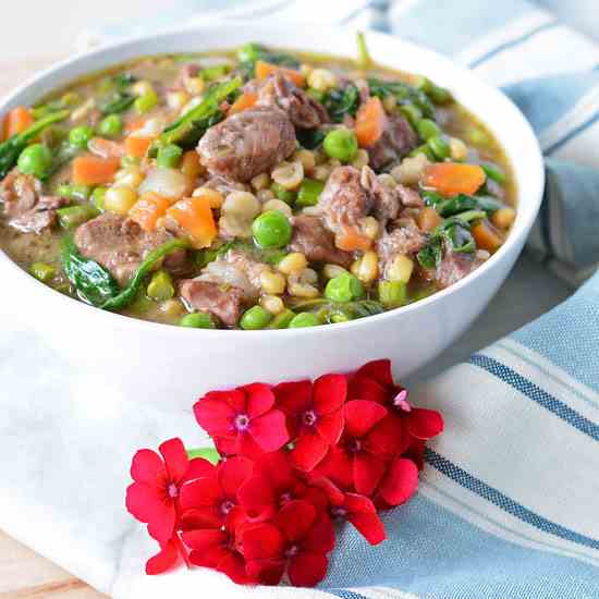 Spring Lamb Stew