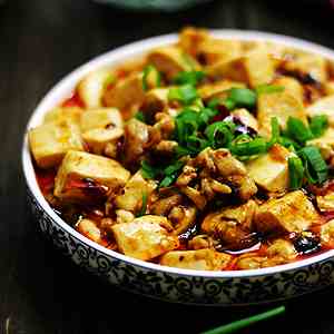 spicy and delicious mapo tofu 