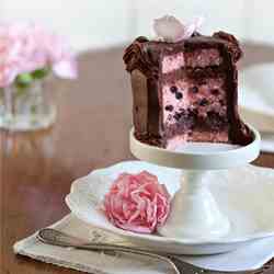 Petite Pink Lady Cakes
