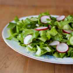 Traditional Bulgarian Green Salad