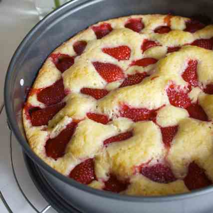 Fresh Strawberry Cake 