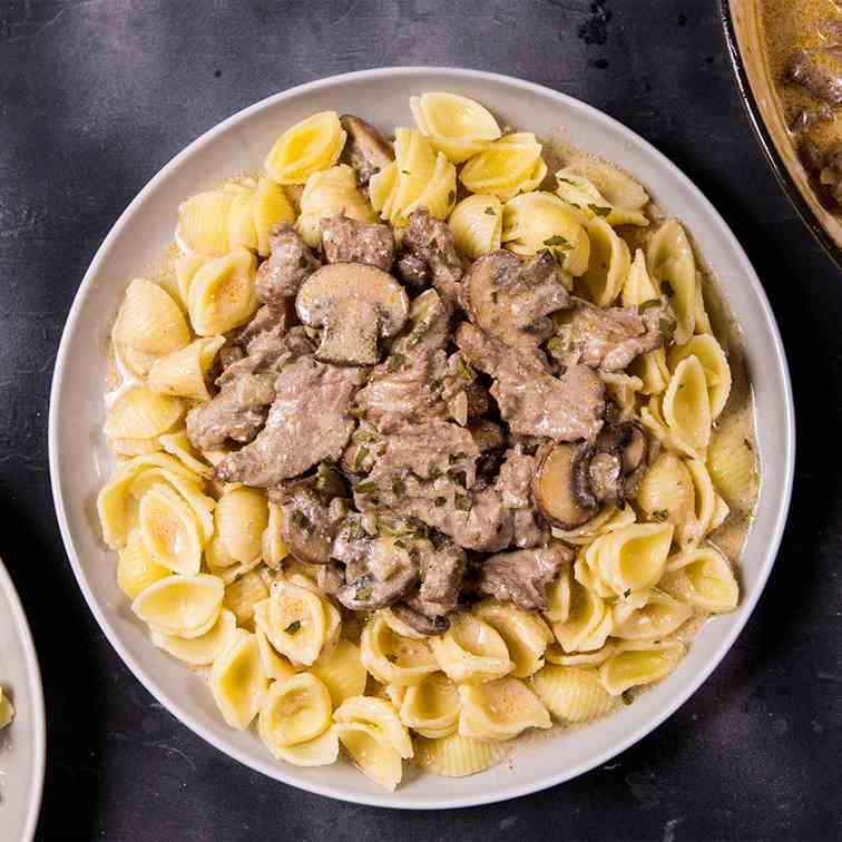 Beef Stroganoff with Conchiglie Pasta