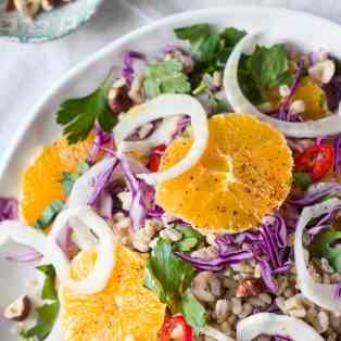 Vegan fennel and orange salad