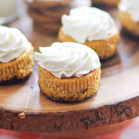 Mini Pumpkin Cheesecakes