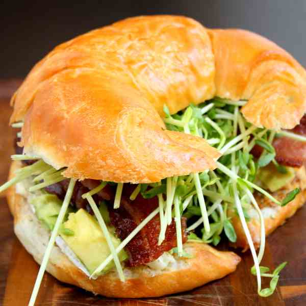 Bacon Brie Avocado Sandwich