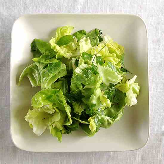 Bibb Lettuce with Citrus Herb Dressing