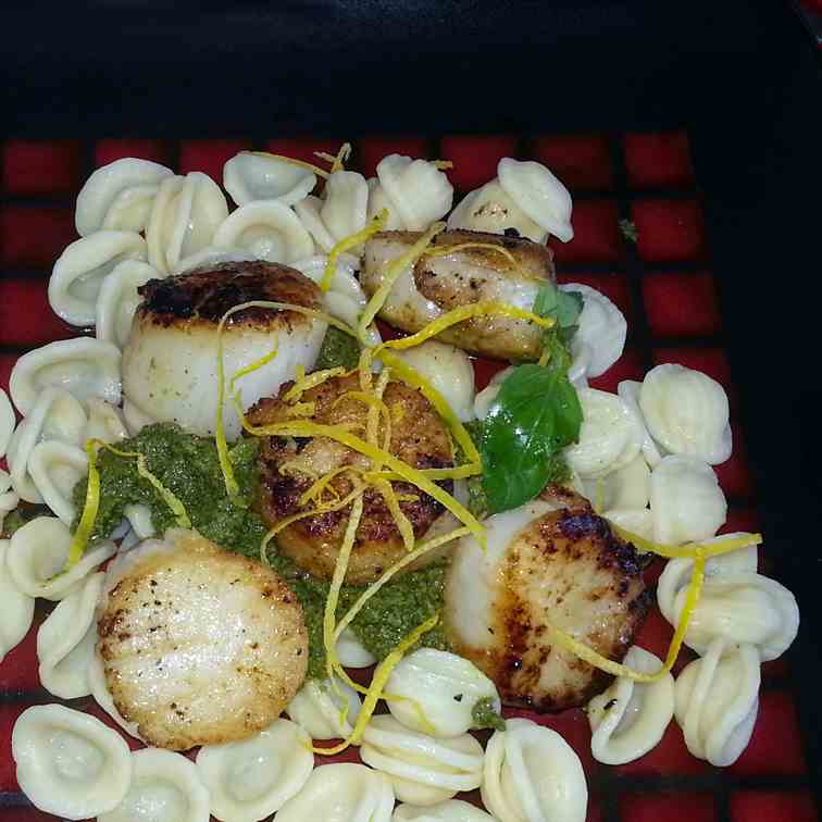 Scallops Orechiette with Pesto