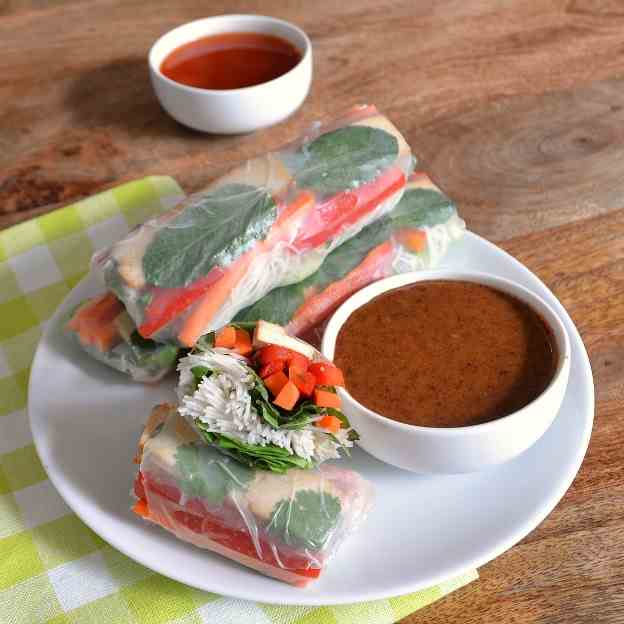 Veggie Spring Rolls