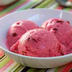 Cranberry Frozen Yogurt