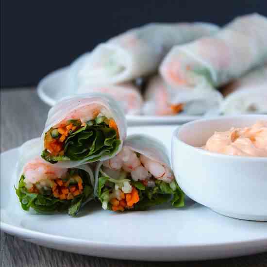 Shrimp and Vegetable Spring Rolls