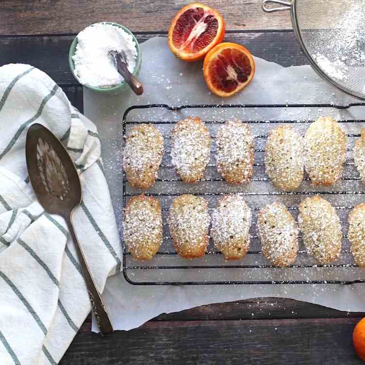 Blood Orange Pistachio Madeleines 