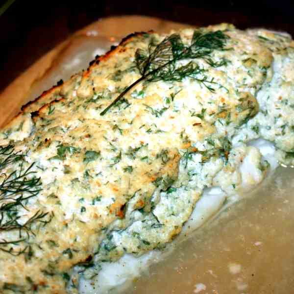 Fish with Curd au Gratin