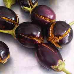 Stuffed baby eggplant