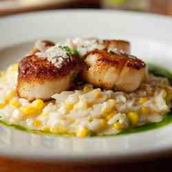 "Big Ass Sea Scallops"
