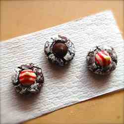 Peppermint Crinkle Cookies