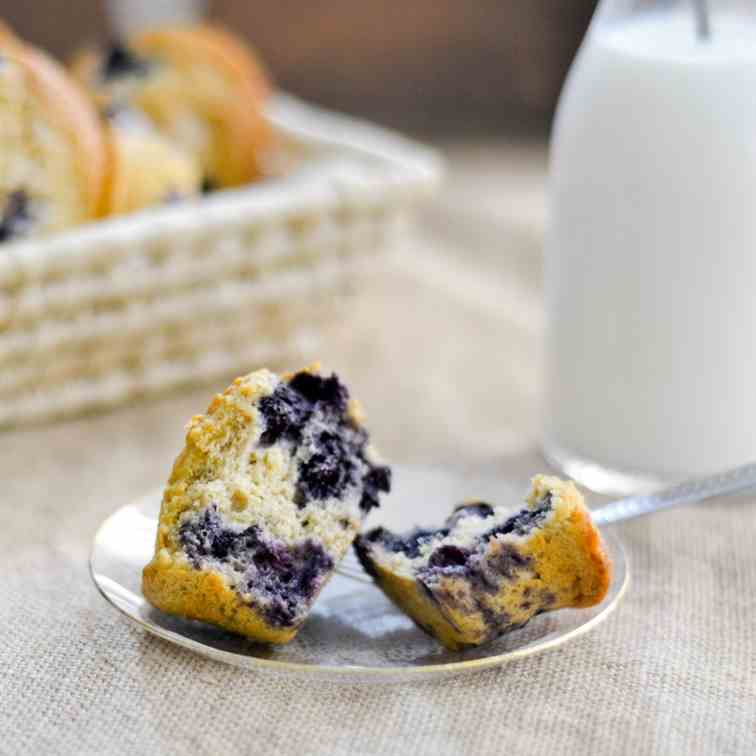 Healthy Blueberry Muffins 