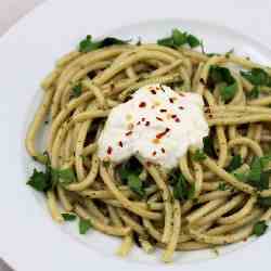 bucatini with pesto and ricotta dressing