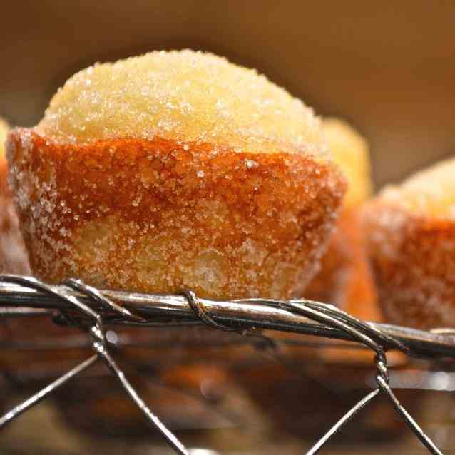 Sugarcoated Mini Muffins