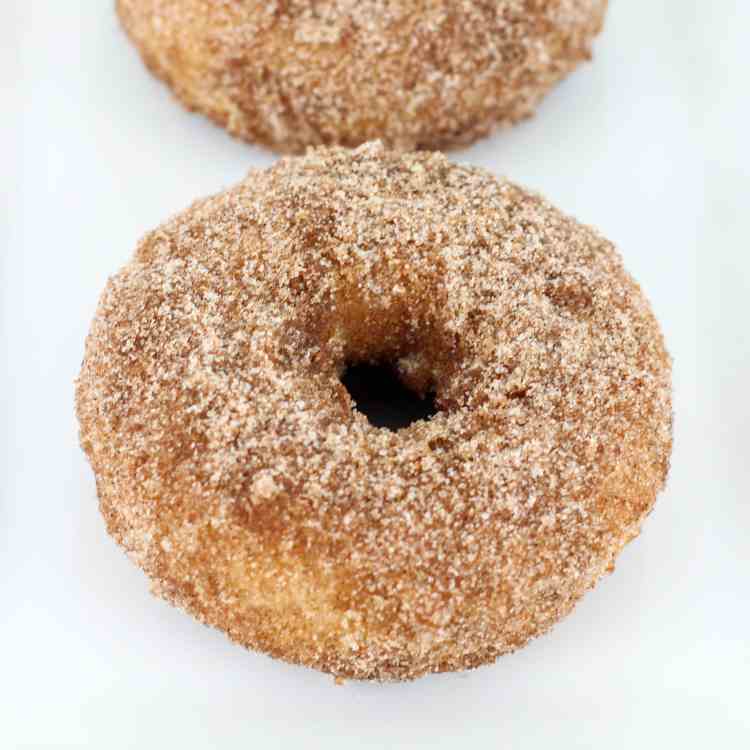 Cinnamon Sugar Baked Doughnuts 