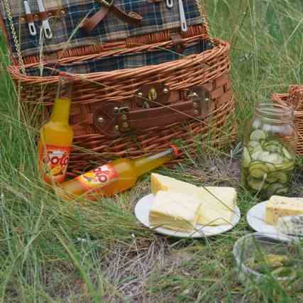 Midsummer Picnic