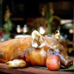 Stuffed Lechon