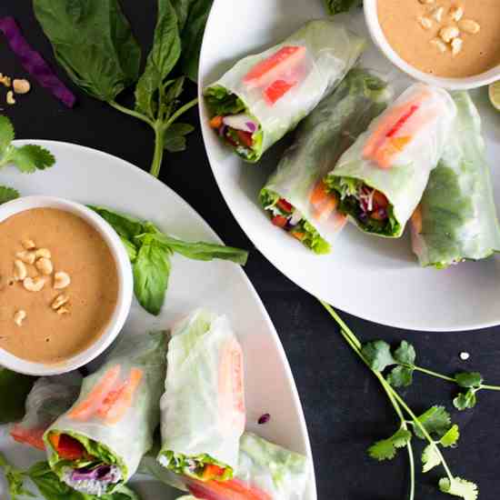 Vegan Salad Spring Rolls