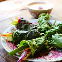 Raw Spring Rolls