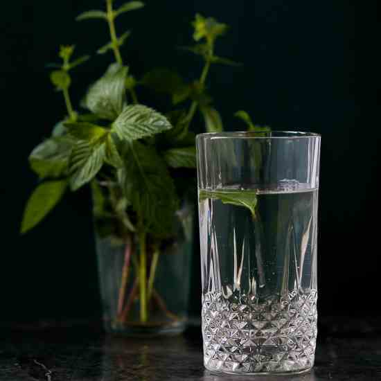 Mint Cordial